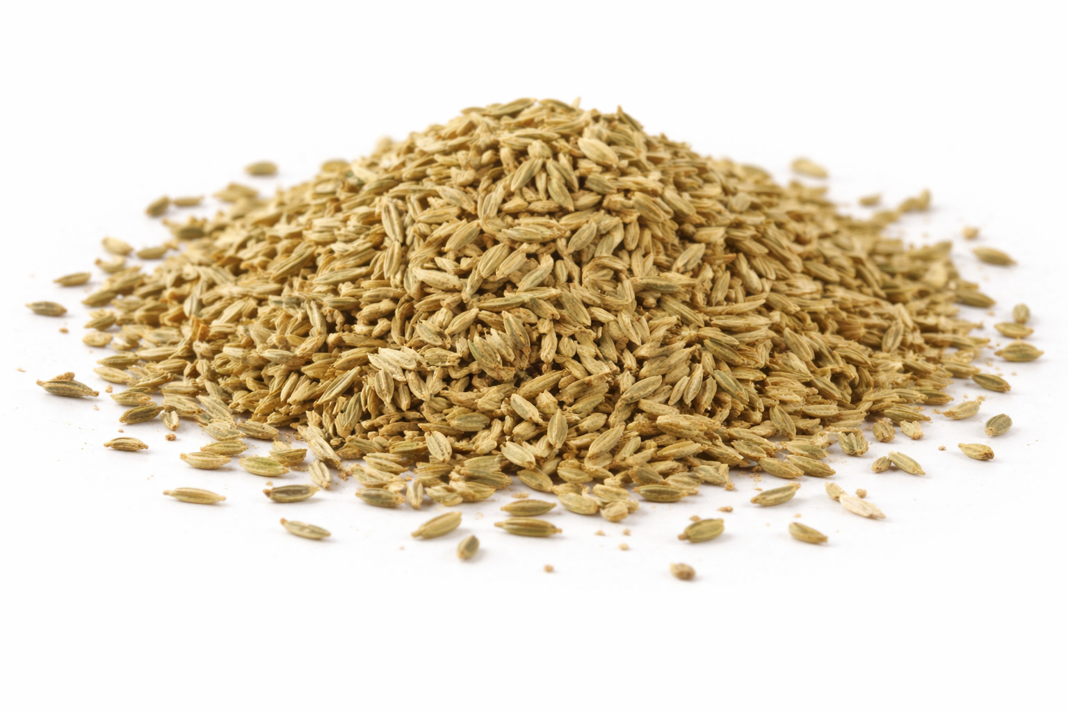 Fenouil en graines en vrac