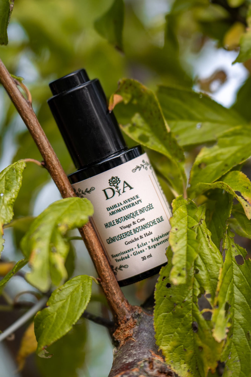 Huile Botanique Infusée — Visage & Cou