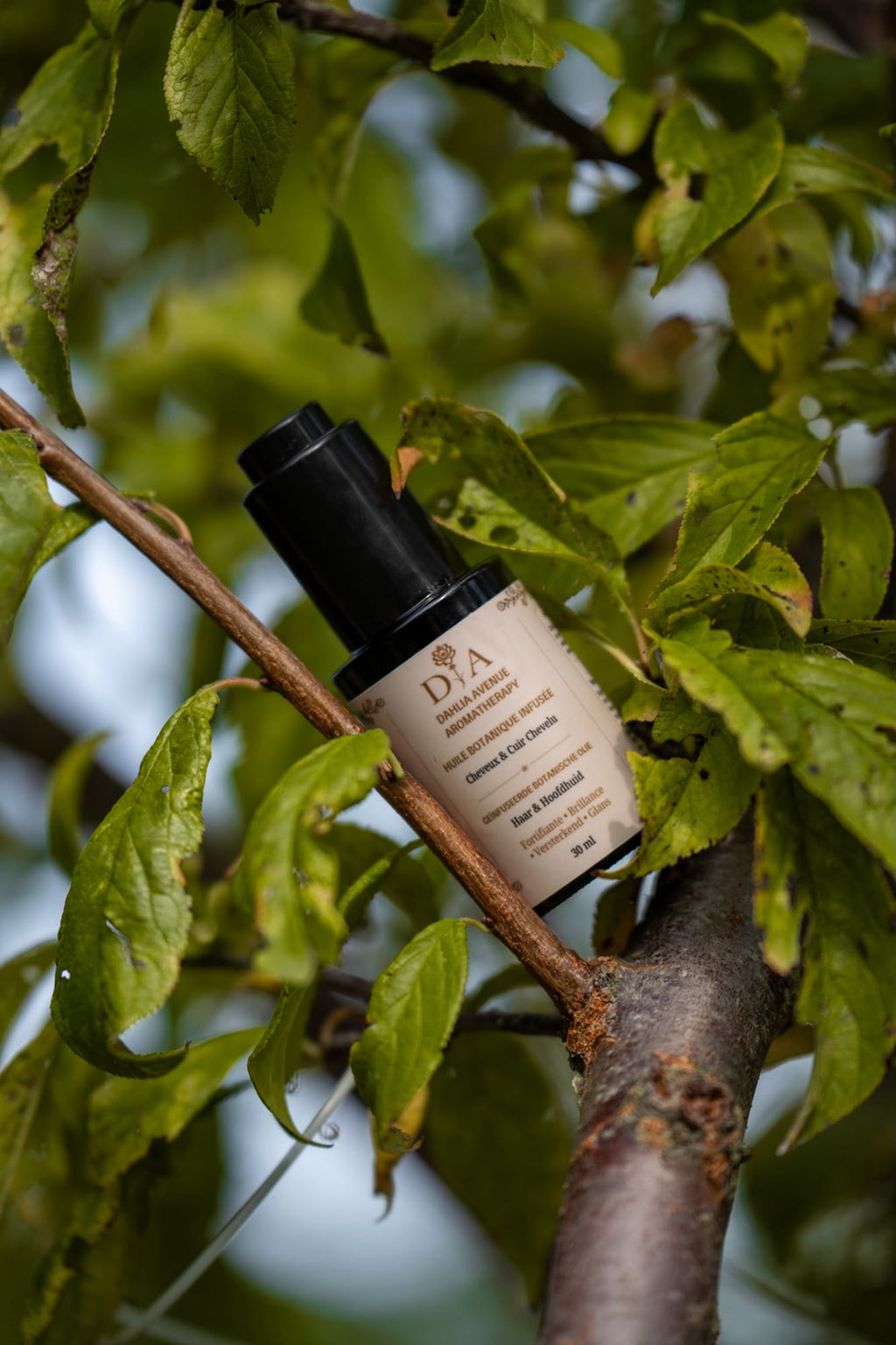 Huile Botanique Infusée — Cheveux & Cuir Chevelu