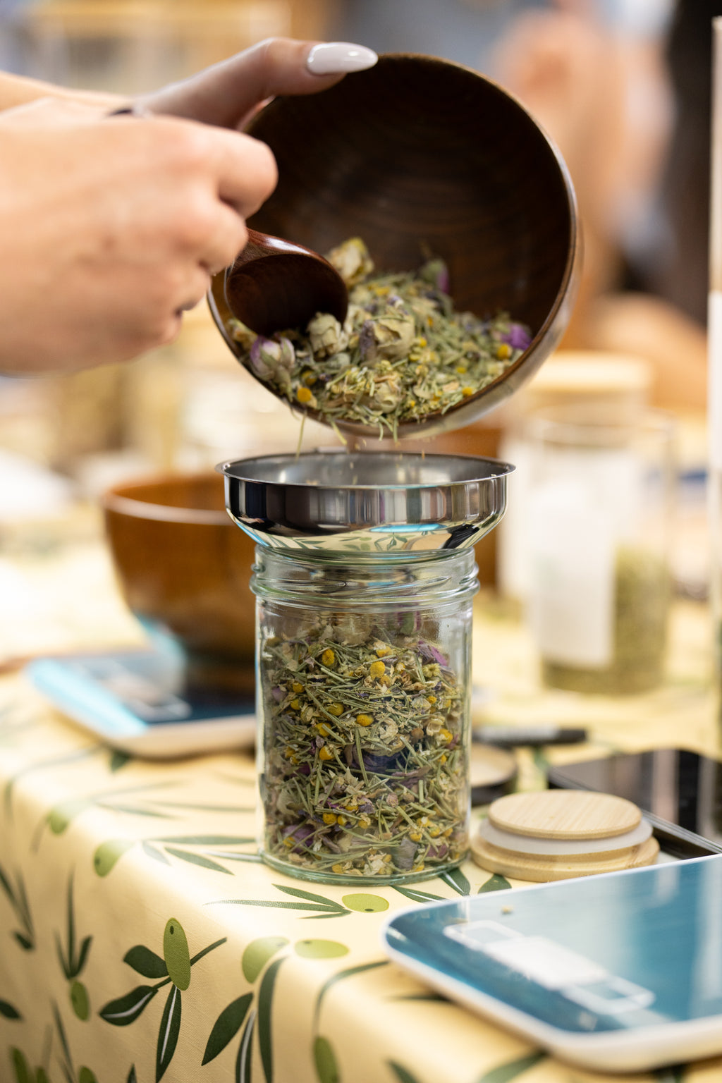 Atelier Découverte — L'Alchimie des Plantes