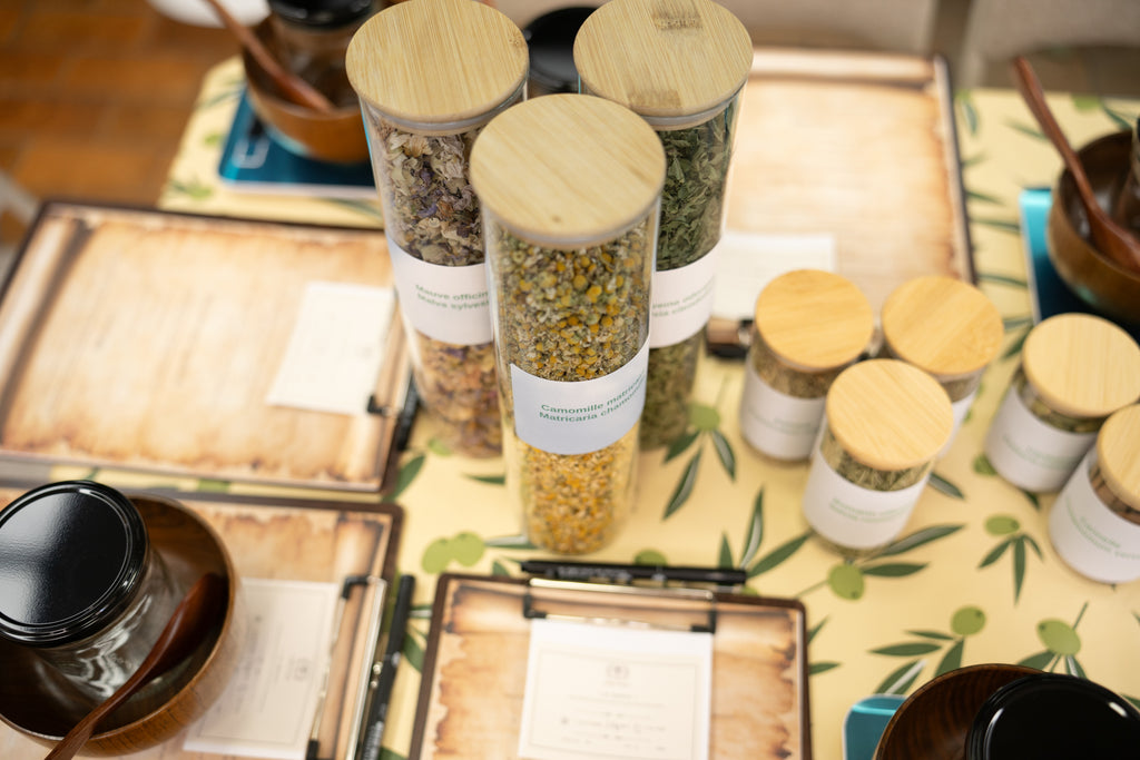 Atelier Découverte — L'Alchimie des Plantes