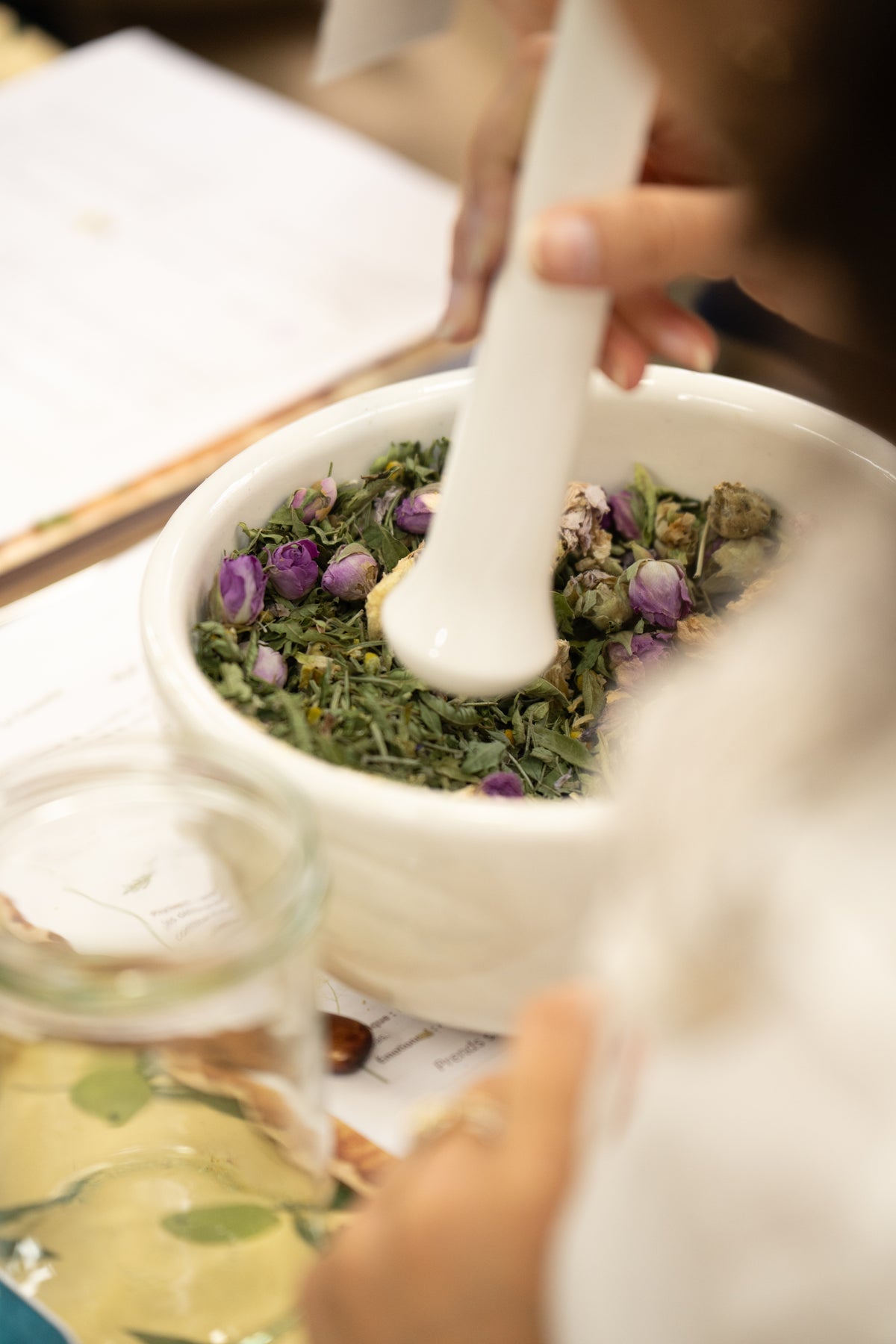 Atelier Découverte — L'Alchimie des Plantes